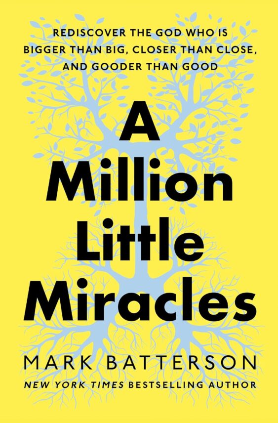 A Million Little Miracles